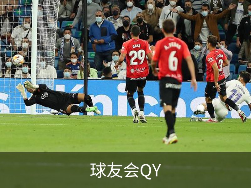 球友会QY概况